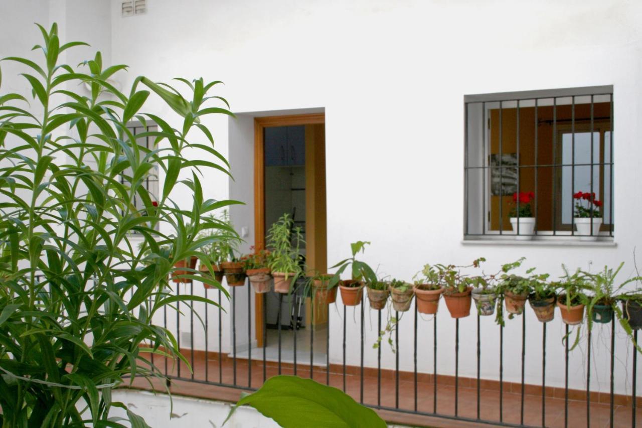 Descubrehome Playa De La Caleta Apartamento